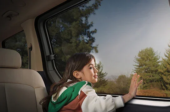 Панорамалық терезе