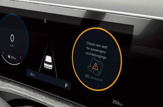 Артқы жолаушылар туралы ескерту жүйесі (ROA)